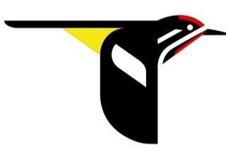Logo: A cartoon representation of a flying woodpecker