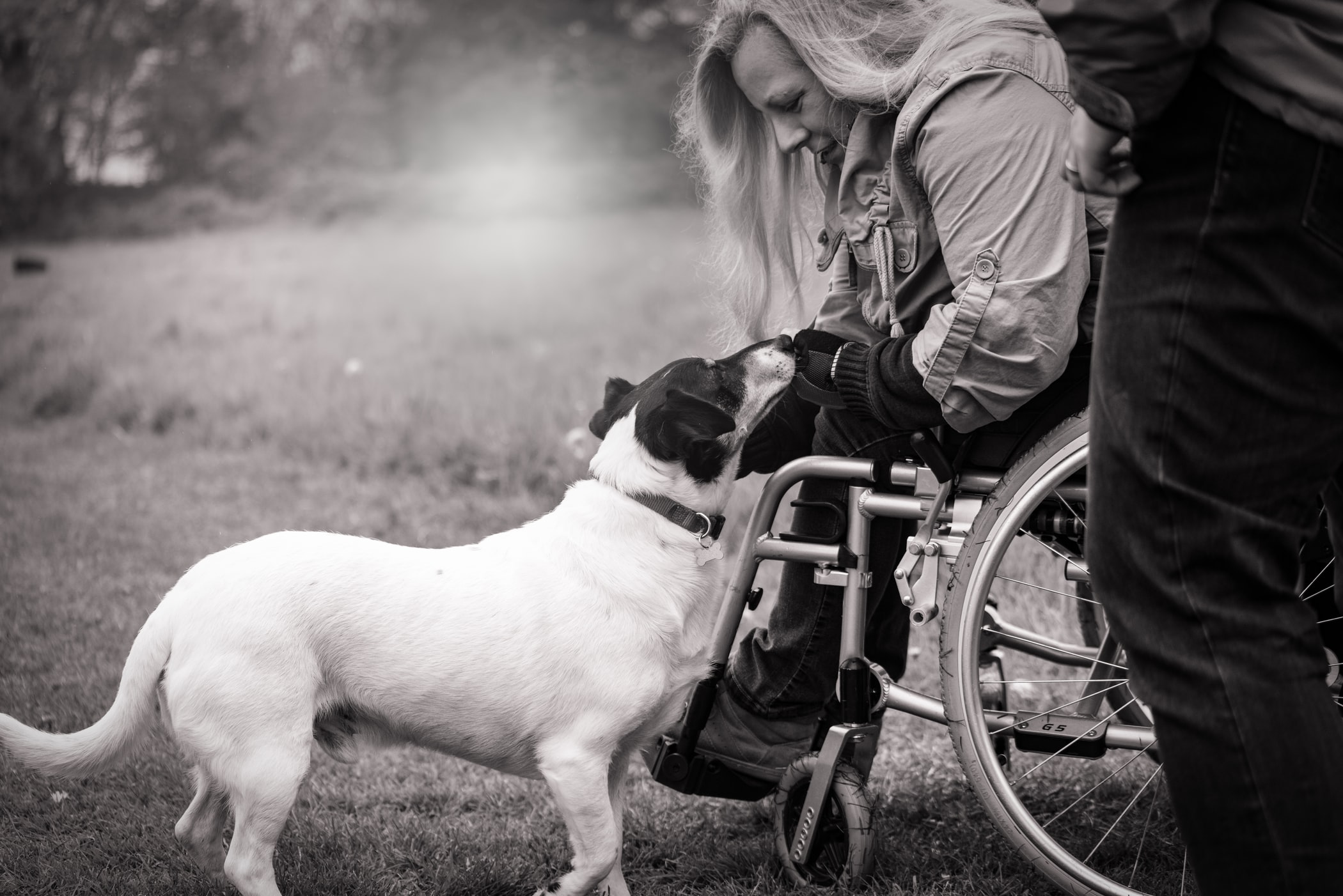 Black and white image of a woman in a wheelchair with a dog