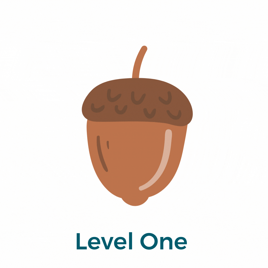 Level one 'Acorn', level two 'seed', level three 'sapling' and level four 'oak tree'. 