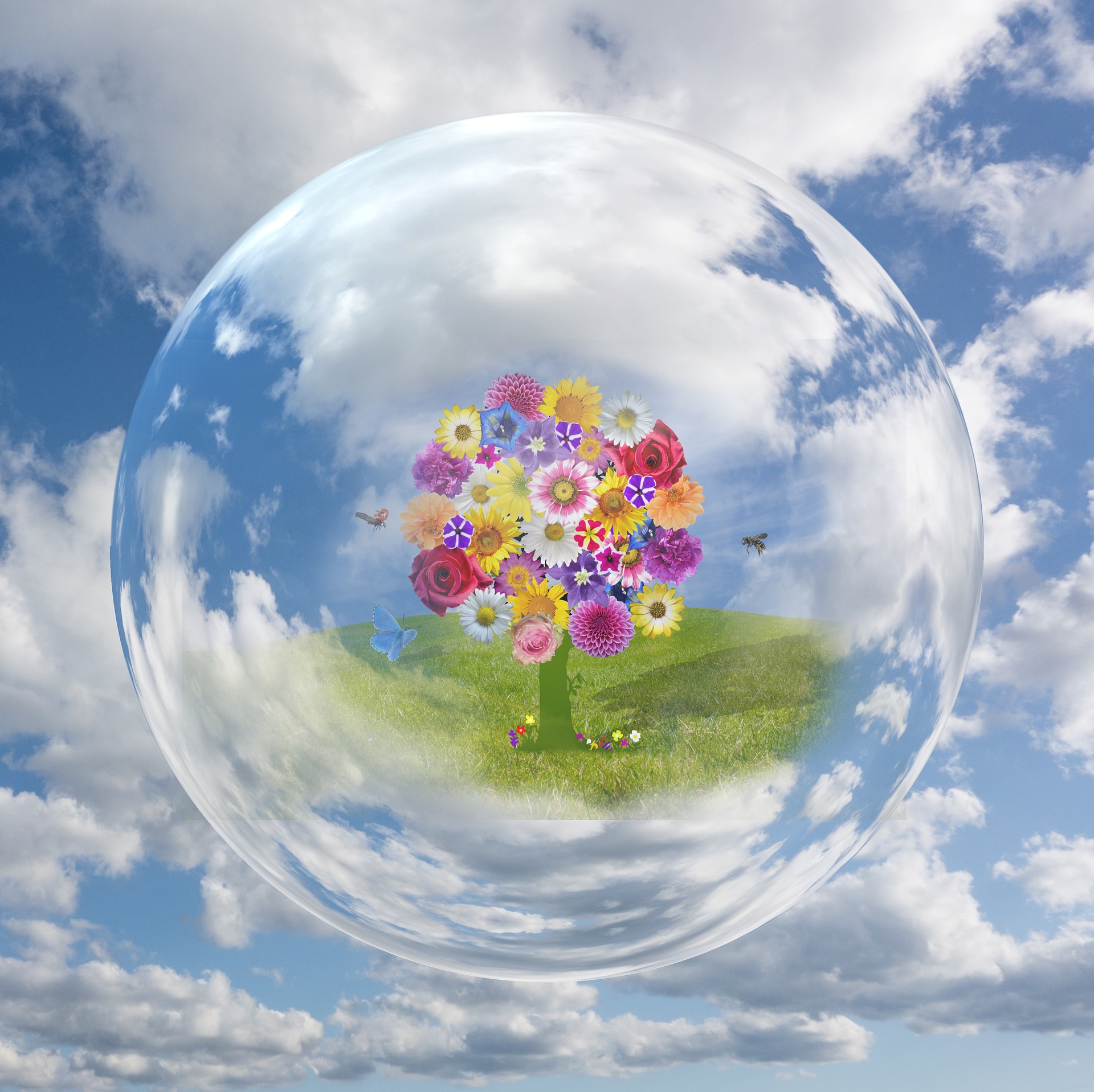 Image shows a large transparent bubble with the sky visible behind it. Inside the bubble are wild flowers and butterflies