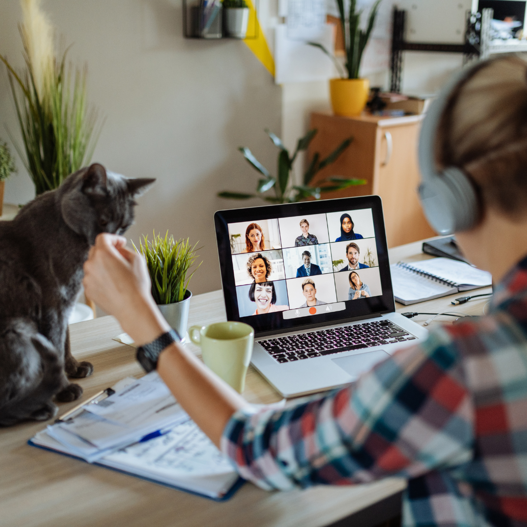 A woman is sitting at a desk. On the desk there is a laptop dispalying a group call. There is also a cat which the woman is petting with one hand.